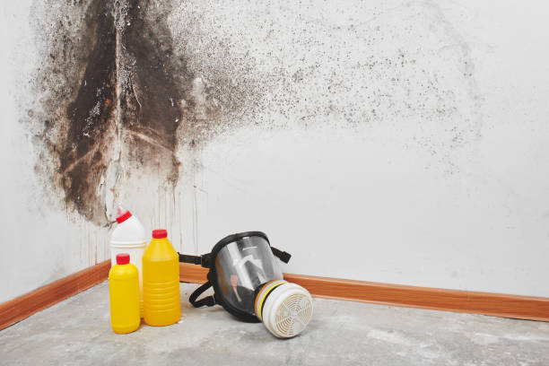 Best Mold Testing  in Roberta, GA