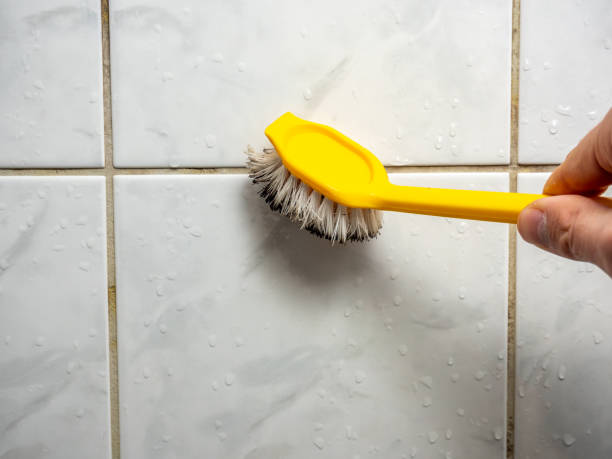 Certified Mold Removal in Roberta, GA