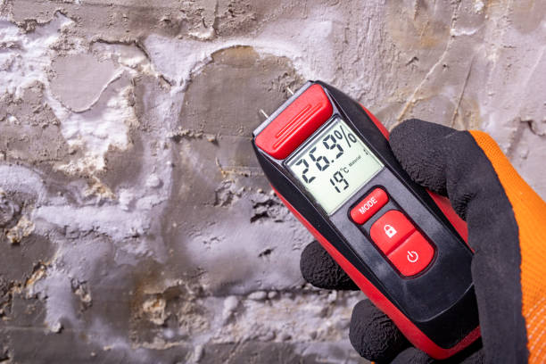 Crawl Space Mold Removal in Roberta, GA
