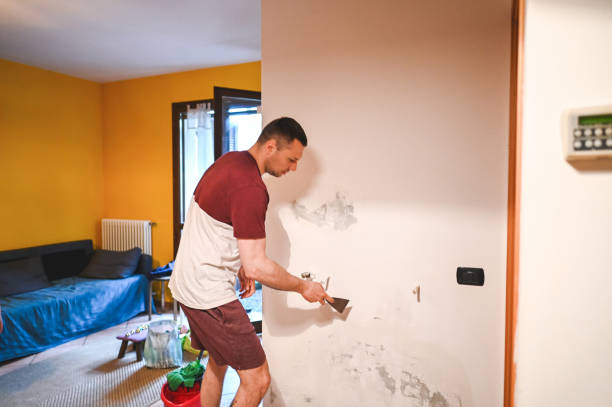 Reliable Roberta, GA Mold Removal Solutions