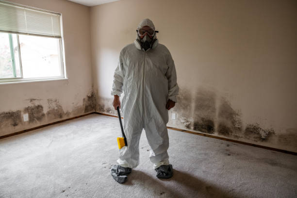 Best Home Mold Removal  in Roberta, GA